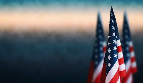 Commemorating Veterans Day: Honoring Our Heroes And Reflecting On Their Impact